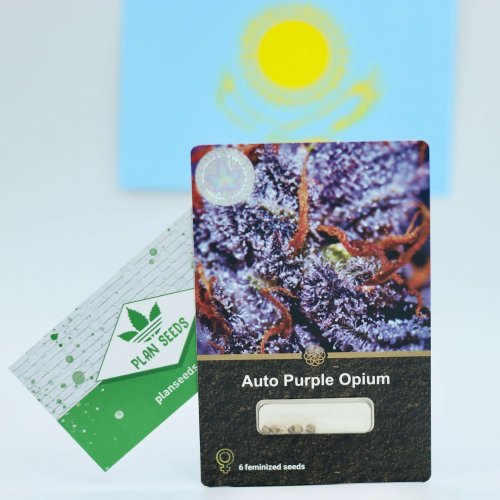 Купить стакан травы Auto Purple Opium