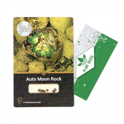 Купить стакан травы Auto Moon Rock