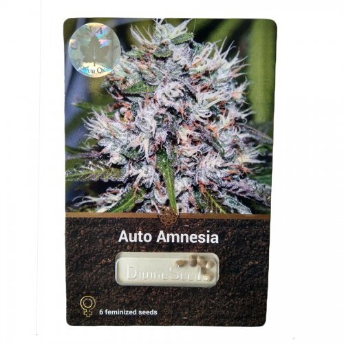 Купить стакан травы Auto Amnesia 